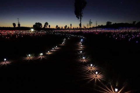 Uluru Field Of Light Sunrise Tour - Accommodation Asia 2