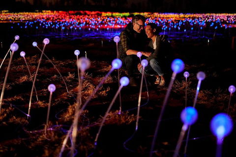 Uluru Field Of Light Sunrise Tour - Accommodation Asia 6