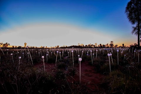 Uluru Field Of Light Sunrise Tour - Accommodation Asia 8