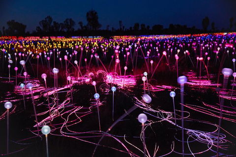 Uluru Field Of Light Sunrise Tour - Accommodation Asia 13