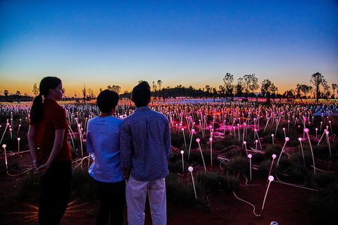 Uluru Field Of Light Sunrise Tour - Accommodation Asia 5