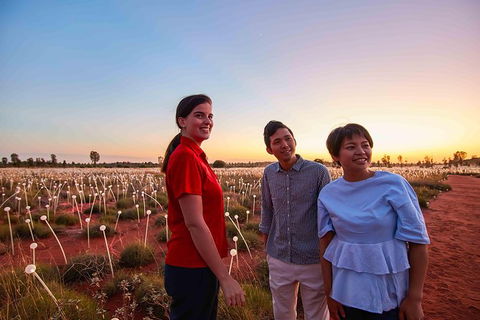 Uluru Field Of Light Sunrise Tour - Accommodation Asia 11