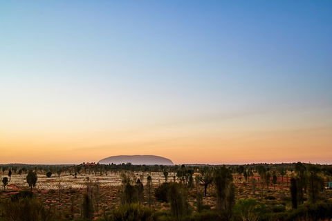 Uluru Field Of Light Sunrise Tour - Accommodation Asia 12