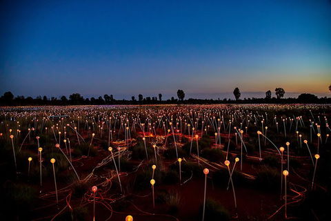 Uluru Field Of Light Sunrise Tour - Accommodation Asia 7