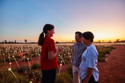Uluru Field Of Light Sunrise Tour - Accommodation Asia 9