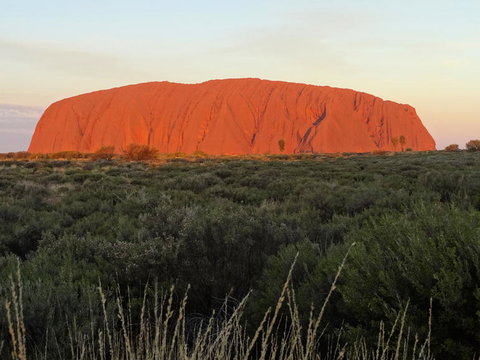 Uluru (Ayers Rock) Sunset With Outback Barbecue Dinner And Star Tour - Accommodation China 5