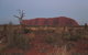Uluru Base And Sunset Half-Day Trip With Optional Outback BBQ Dinner - thumb 3