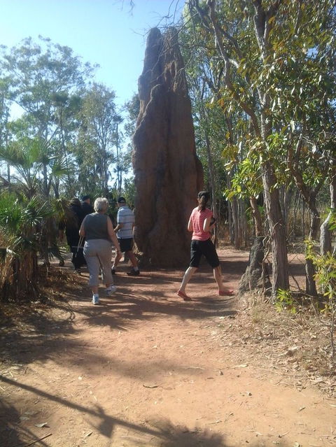 Litchfield National Park Day Tour From Darwin - Accommodation China 14