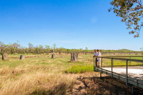 Litchfield National Park Day Tour From Darwin - Accommodation China 18