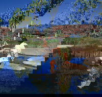 Palm Valley 4WD Tour - Accommodation Guide
