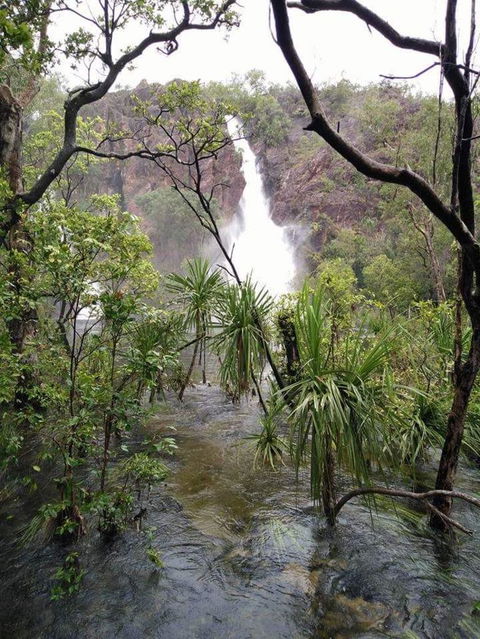 Small-Group Litchfield National Park Day Trip From Darwin - Accommodation Guide 6
