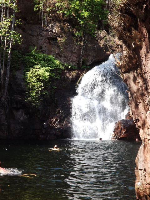 Small-Group Litchfield National Park Day Trip From Darwin - Accommodation Guide 13