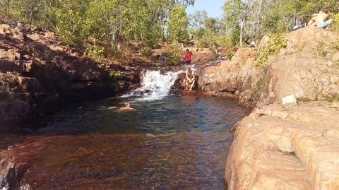 Small-Group Litchfield National Park Day Trip From Darwin - Accommodation Guide 12