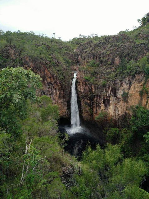 Small-Group Litchfield National Park Day Trip From Darwin - Accommodation Guide 5