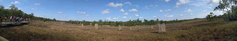 Small-Group Litchfield National Park Day Trip From Darwin - Accommodation Guide 10