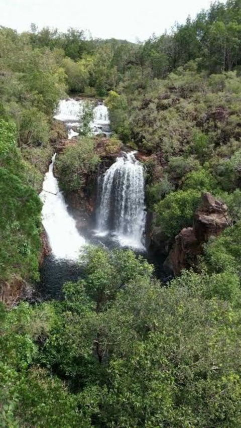 Small-Group Litchfield National Park Day Trip From Darwin - Accommodation Guide 7