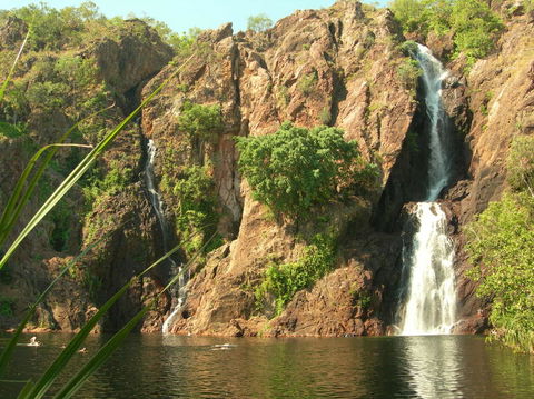Small-Group Litchfield National Park Day Trip From Darwin - Accommodation Guide 15