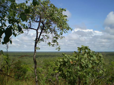 Small-Group Litchfield National Park Day Trip From Darwin - Accommodation Guide 8