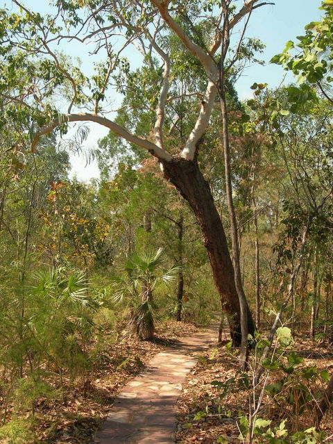 Small-Group Litchfield National Park Day Trip From Darwin - Accommodation Guide 14