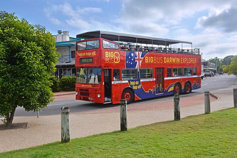 Darwin Shore Excursion: Hop-on Hop-off Bus Tour - Accommodation Asia 0
