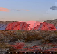 3-Day Uluru Camping Tour from Alice Springs Including Kata Tjuta and Kings Canyon - Accommodation Guide