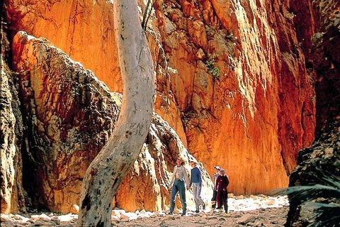 West MacDonnell Ranges Day Trip From Alice Springs - Accommodation Guide 7