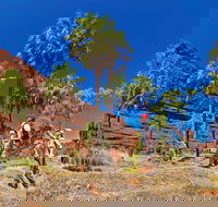 Palm Valley 4WD Tour from Alice Springs - Accommodation Guide