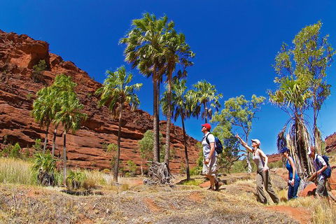 Palm Valley 4WD Tour From Alice Springs - Accommodation Guide 0