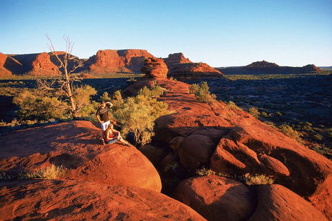 Palm Valley 4WD Tour From Alice Springs - Accommodation Guide 4