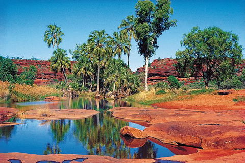 Palm Valley 4WD Tour From Alice Springs - Accommodation Guide 5