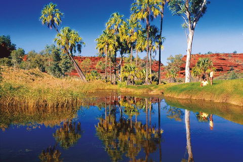 Palm Valley 4WD Tour From Alice Springs - Accommodation Guide 3