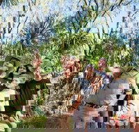 4-Day Kakadu National Park Katherine and Litchfield National Park Camping Tour from Darwin