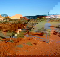 Chambers Pillar and Rainbow Valley 1 Day 4WD Tour - Accommodation Guide