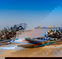 1 Hour Darwin Airboat Tours