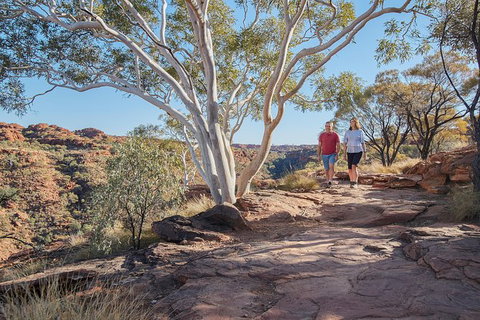 Coach Transfer From Kings Canyon To Alice Springs - Accommodation China 8
