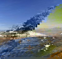 5-Day Top End Kakadu National Park Arnhem Land and Litchfield National Park Camping Tour from Darwin