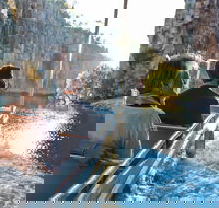 5-Day Inspiring Ancient Kakadu 4WD Journey from Darwin