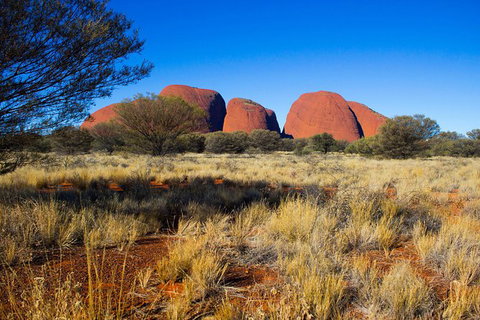 Kata Tjuta Sunrise And Valley Of The Winds Half-Day Trip - Accommodation Guide 11