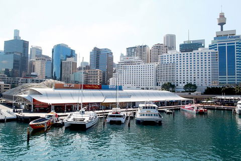 Sydney Attraction Pass: Darling Harbour Experience Ticket - Accommodation Asia 0