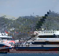 Sydney Boxing Day Cruise 2019