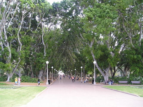 Sydney Bike Tours - Accommodation Asia 24