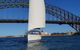 Whale Watching Sailing Experience In Sydney - thumb 3