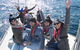 Whale Watching Sailing Experience In Sydney - thumb 7
