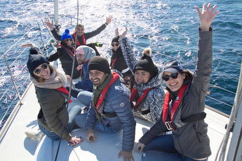 Whale Watching Sailing Experience In Sydney - Accommodation Asia 7