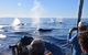 Whale Watching Sailing Experience In Sydney - thumb 5