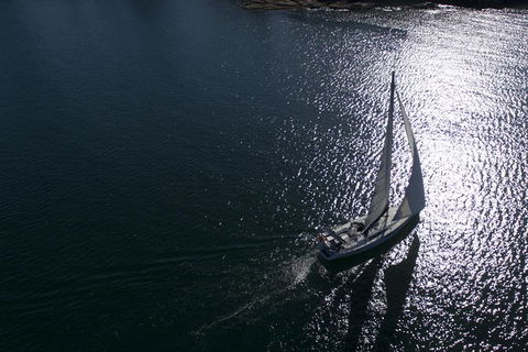 Whale Watching Sailing Experience In Sydney - Accommodation Asia 10