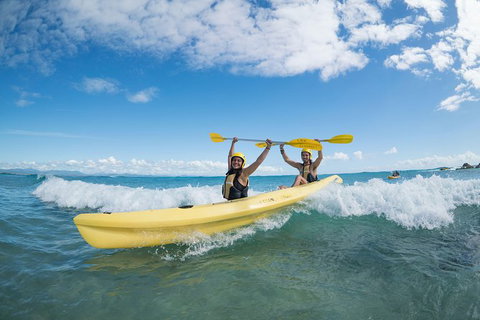 Kayaking With Dolphins In Byron Bay Guided Tour - Accommodation Guide 16