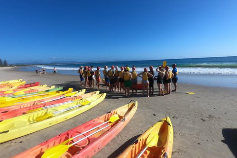 Kayaking With Dolphins In Byron Bay Guided Tour - Accommodation Guide 17