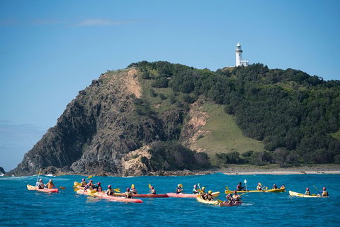 Kayaking With Dolphins In Byron Bay Guided Tour - Accommodation Guide 2