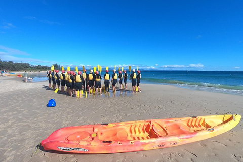 Kayaking With Dolphins In Byron Bay Guided Tour - Accommodation Guide 3